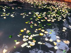 -龙达温泉生态城
