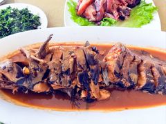 -金台阶鱼馆(于桥水库店)