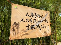 -广州白江湖森林公园