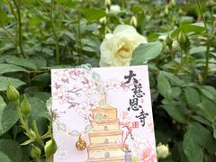 -大慈恩寺(大雁塔)