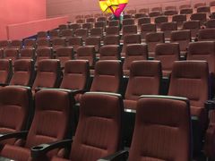 -悦江新远影城IMAX