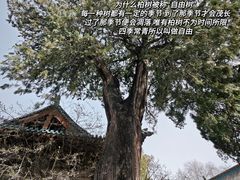 -窦大夫祠