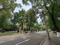 -四川大学(华西校区)