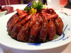 -天福苑(崇宁路店)