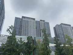 -合景·悠方(成都店)