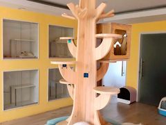 -Bastet sally猫舍购宠(静安店)