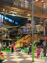 -卡通尼·Safari非洲探索乐园·生日会(金桥国际商业广场店)