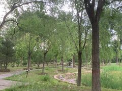 -莲花池公园