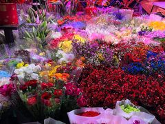 -花鸟鱼虫鲜花绿植市场(玉泉路店)
