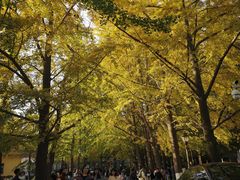 -八大关景区