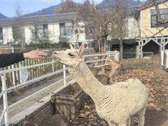 -丽泽山庄·生态怀柔菜·虹鳟鱼(红螺寺店)