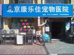 -瑞派·关忠动物医院·猫专科·犬专科(三环新城店)