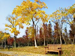 -浙江大学(海宁国际校区)