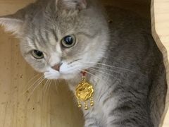-南京商厦