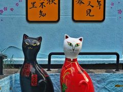 -猫咪博物馆(顶澳仔猫街店)