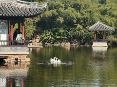 -水绘园