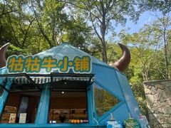 -石台牯牛降景区