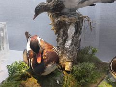 -长江文明馆
