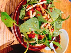 版纳拌折耳根-云海肴云南菜·蒸汽石锅鱼(北京良乡华冠店)