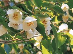 -北仑森林植物园