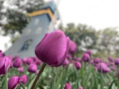 -无锡梅园公园
