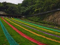 -梦幻奥陶纪景区