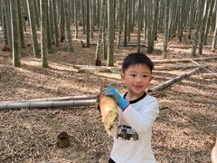 -同里国家湿地公园