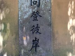 -普陀山风景区-佛顶山