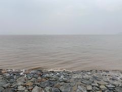 -舟山希尔顿酒店