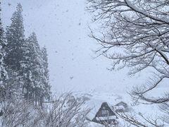 -白川乡与五箇山的合掌构造村落