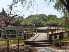 -太阳宫公园
