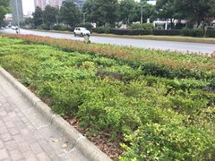 -易裕和·长沙米粉(友谊路店)