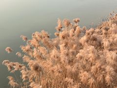 -西安浐灞国家湿地公园