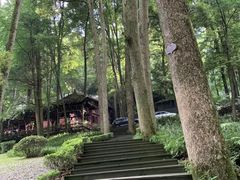 -青城山