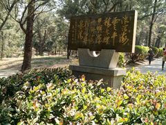 -宋井风景区