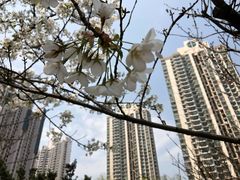 -苏州河梦清园环保主题公园