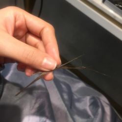 -Kraemer Paris  苏豪路易士·嘉玛发廊