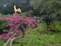 -海口火山口国家地质公园