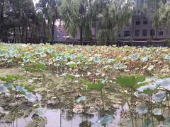 -四川大学(望江校区)
