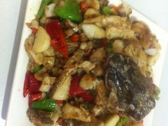 -煲来饱去冷水鱼