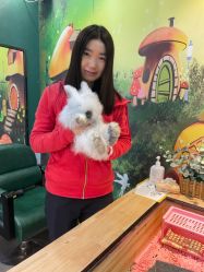 -神奇动物撸宠馆·羊驼·小浣熊·异宠(豫园店)