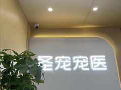 -圣宠动物医院·犬猫专科·影像中心·外科中心