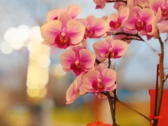 -满堂·烤鸭店·北京菜(鼓楼店)