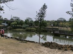 -王借岗森林公园