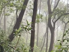 -广州市白云山风景名胜区