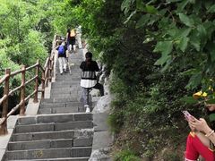 -神农山景区