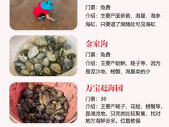 -巧克力渔家.小船海鲜胶东菜(万平口店)