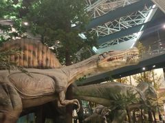 -湖南省地质博物馆