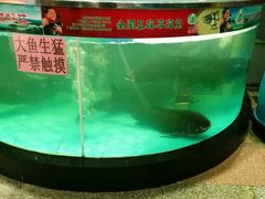 -莞香楼·正宗东莞菜(东升店)