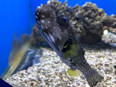 -锦艺城海洋馆